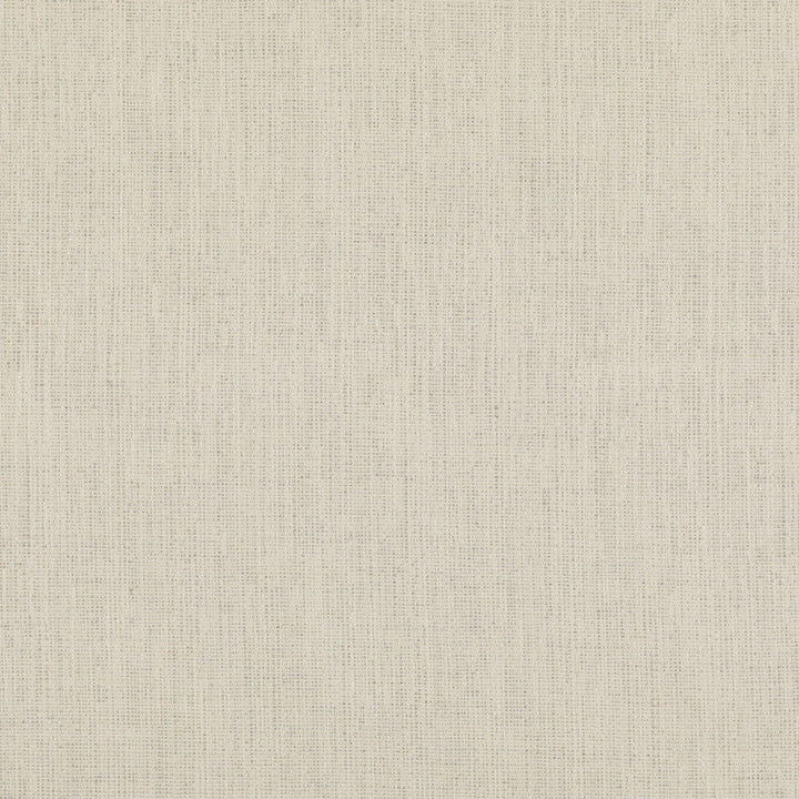 Stipple Ivory by Threads Designer Fabric LUXURY WEAVES II VISCOSE - 51%;LINEN - 24%;COTTON - 17%;POLYCOTTON - 6%;POLYESTER - 2% Italy Horizontal: and Vertical: 55.16 - Swanky Fabrics -