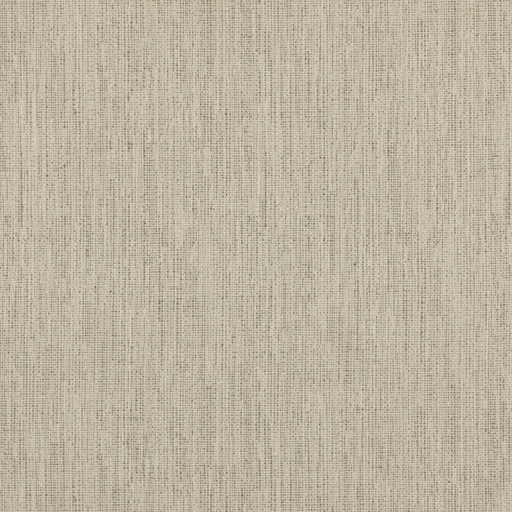 Stipple Dove by Threads Fabric LUXURY WEAVES II VISCOSE - 51%;LINEN - 24%;COTTON - 17%;POLYCOTTON - 6%;POLYESTER - 2% Italy - Horizontal: - and Vertical: - 55.16 - Fabric Carolina -