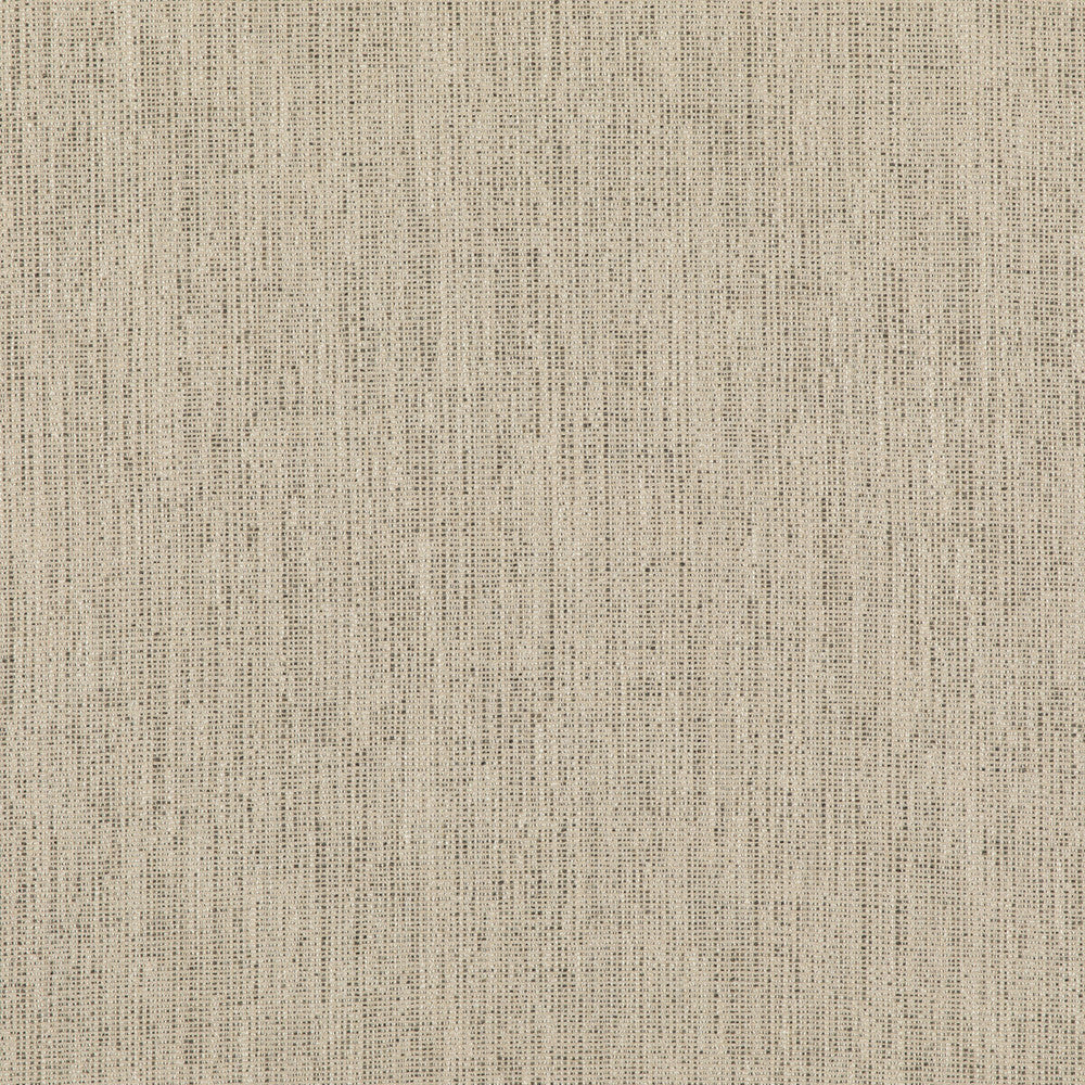 Stipple Charcoal by Threads Fabric LUXURY WEAVES II VISCOSE - 51%;LINEN - 24%;COTTON - 17%;POLYCOTTON - 6%;POLYESTER - 2% Italy Horizontal: and Vertical: 55.16 - Fabric Carolina -