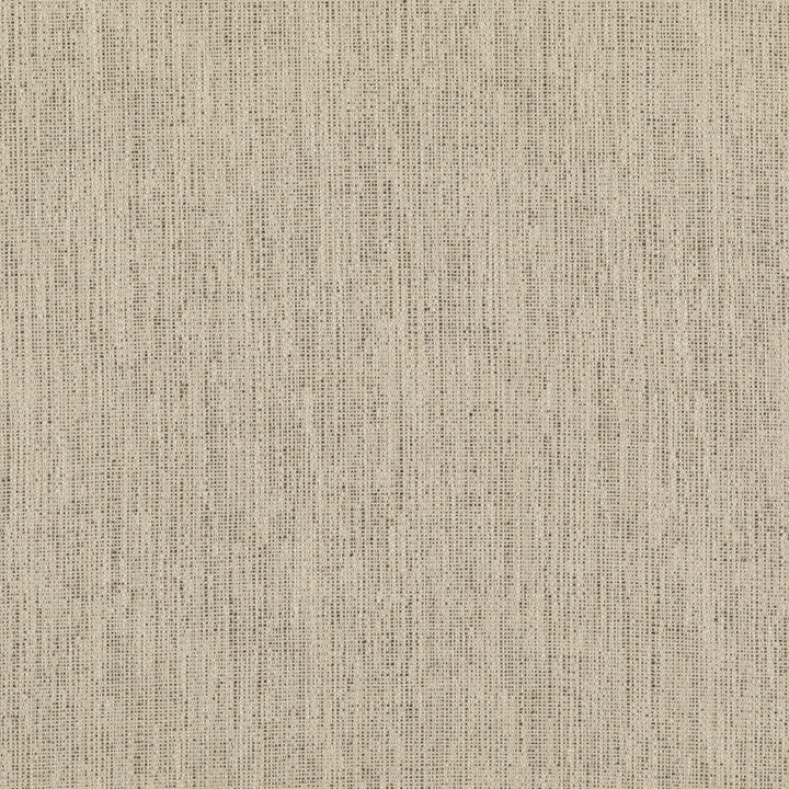 Stipple Charcoal by Threads Fabric Threads Fabric Stipple CharcoalFabric LUXURY WEAVES II VISCOSE - 51%;LINEN - 24%;COTTON - 17%;POLYCOTTON - 6%;POLYESTER - 2% Italy </p><p>Repeat: H: , V: 55.16 - Fabric Carolina -