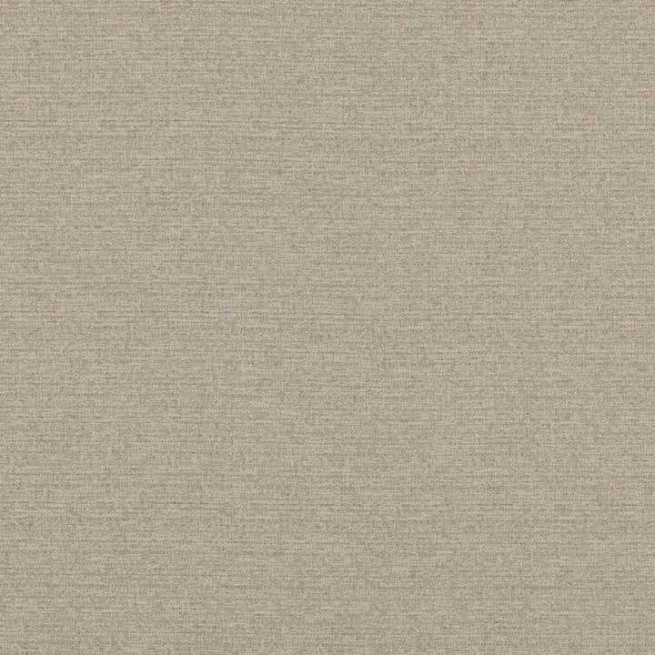 Bara Ivory by Threads Fabric LUXURY WEAVES II VISCOSE - 39%;COTTON - 25%;LINEN - 17%;POLYESTER - 17%;POLYCOTTON - 2% Italy Horizontal: and Vertical: 53.978 - Fabric Carolina -