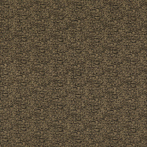 Bara Charcoal by Threads Fabric