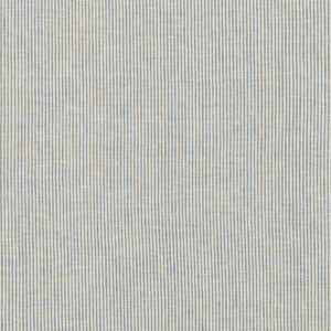 Nala Ticking Denim by Threads Fabric