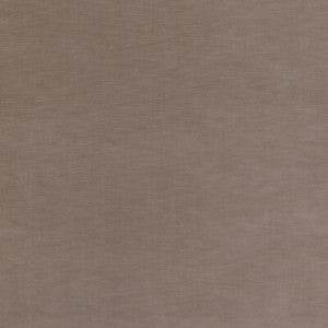 Quintessential Velvet Mole ED85359.240.0 by Threads Fabric