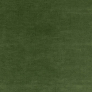 Quintessential Velvet Forest ED85359.794.0 by Threads Fabric