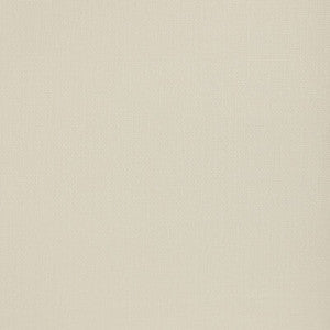 Strand Ivory ED85382.104.0 by Threads Fabric
