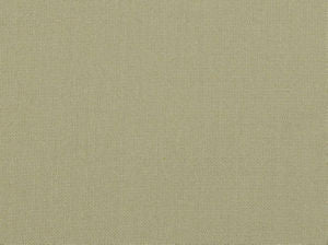 Eddy Bone 120 by Norbar Fabric