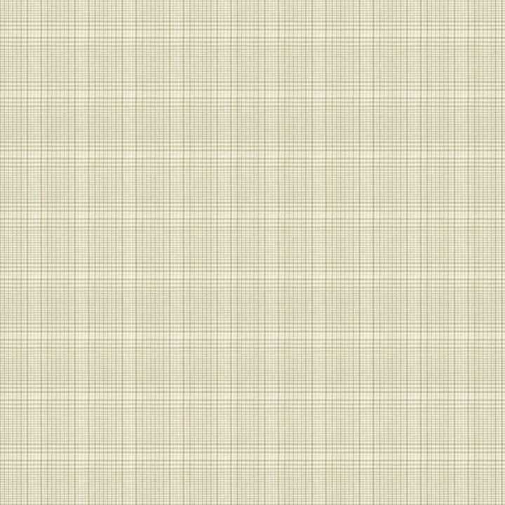 Edgemont 3 Dove by Stout Designer Fabric RAINBOW LIBRARY SILVER/SMOKE 100%COT TURKEY FLAME RETARDANT-U.F.A.C. CLASS 1 WYZENBEEK 18 000 DOUBLE RUB WEAR TEST (HEAVY DUTY) </p><p>Repeat: 3.125 54 in - Swanky Fabrics -