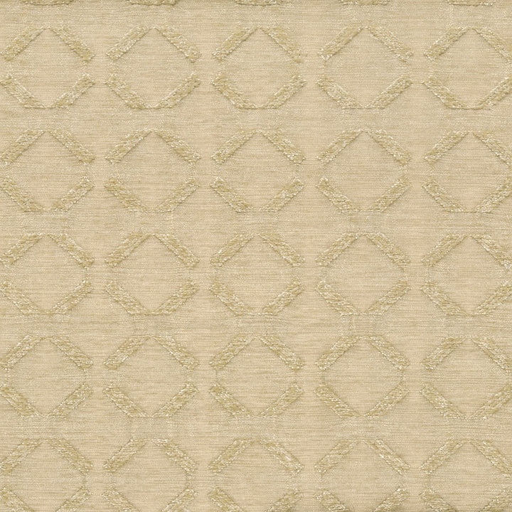 Edition 2 Mushroom by Stout Fabric COLOR MY WINDOW JUTE/TAUPE 72%POL 28%COT INDIA Horizontal: 1.375 and Vertical: 1.25 55 in - Fabric Carolina -