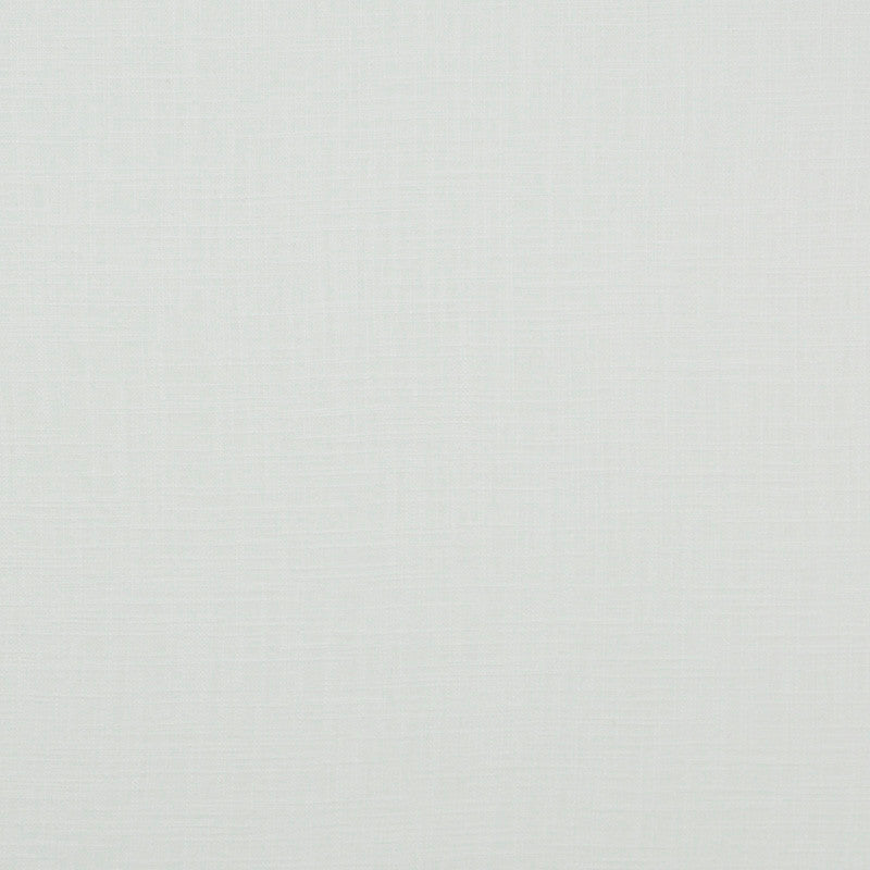 Earth # 1001 White by Maxwell Fabric PURE & SIMPLE 55% LINEN 45% RAYON CHINA </p><p>Repeat: Horizontal: and Vertical: 56" - Fabric Carolina -