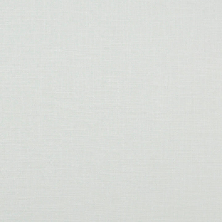 Earth # 1001 White by Maxwell Fabric PURE & SIMPLE 55% LINEN 45% RAYON CHINA </p><p>Repeat: Horizontal: and Vertical: 56" - Fabric Carolina -