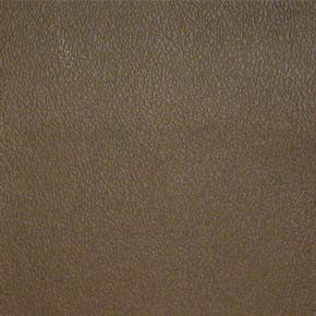 Esprit # 041 Mocha by Maxwell Fabric