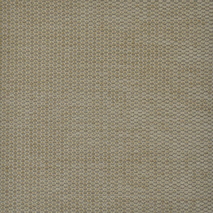 Embody # 711 Vole by Maxwell Fabric