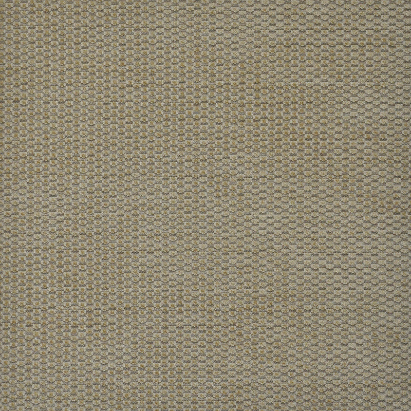 Embody # 711 Vole by Maxwell Fabric PERFORMANCE WOVENS-VOL.II CANYON 53% POLYESTER 40% ACRYLIC
7% VISCOSE TURKEY </p><p>Repeat: Horizontal: H-14.2 and Vertical: V-2.4 55" - Fabric Carolina -