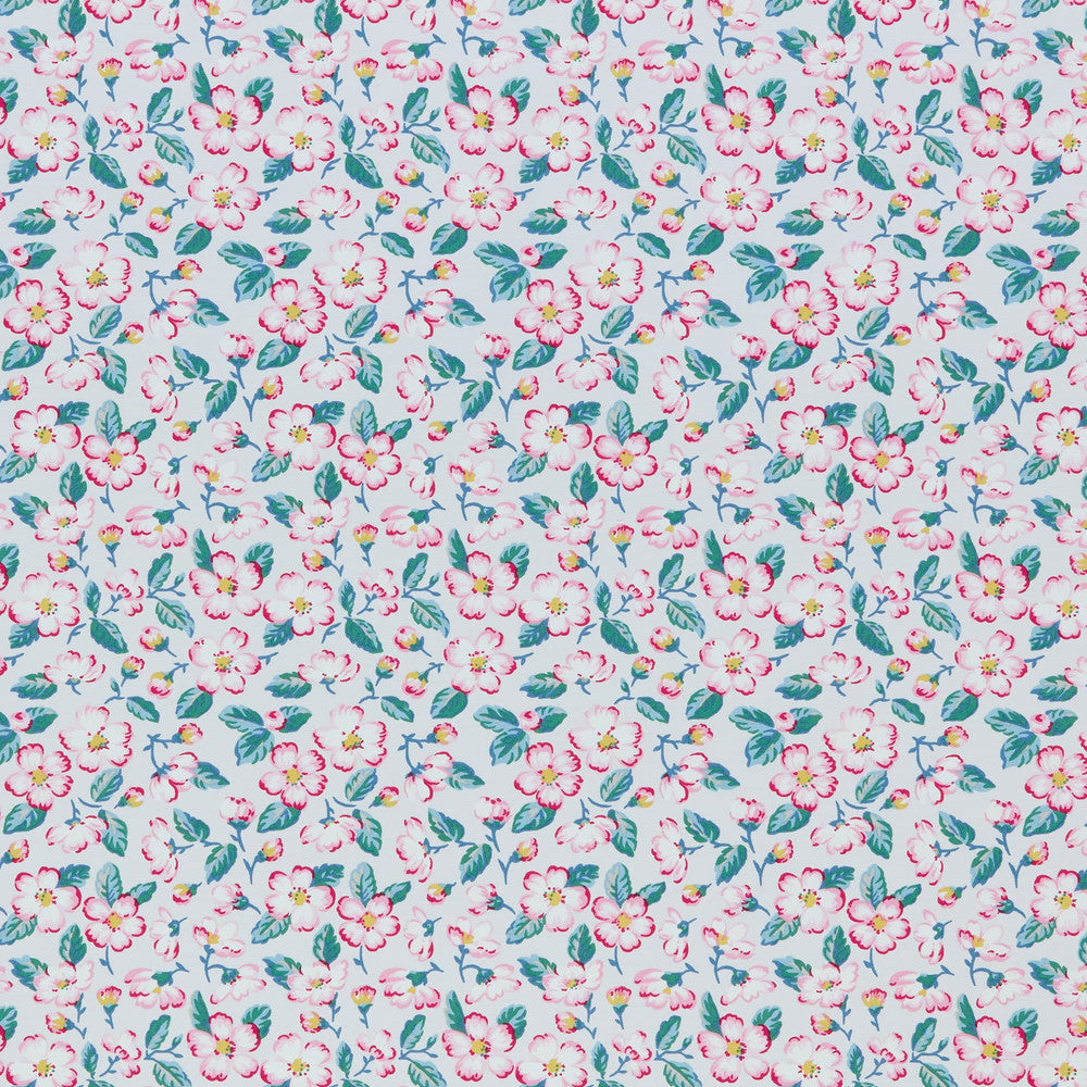 Effingham 1 Sorbet by Stout Fabric THE ART OF COLOR CATH KIDSTON 100%COT TURKEY FLAME RETARDANT-U.F.A.C. CLASS 1 FLAME RETARDANT-N.F.P.A. 260A CLASS 1 CATB 117-2013 WYZENBEEK 57 000 DOUBLE RUB WEAT TEST (HEAVY DUTY) Horizontal: 6.625 and Vertical: 12.500 55 in - Fabric Carolina -