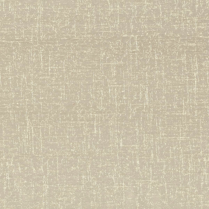 Egocentric 2 Oyster by Stout Fabric RAINBOW LIBRARY DRIFTWOOD/HEMP 100%POL INDIA CATB 117-2013 WYZENBEEK 42 000 DOUBLE RUB WEAR TEST (HEAVY DUTY) Horizontal: 9 and Vertical: 10 54 in - Fabric Carolina -