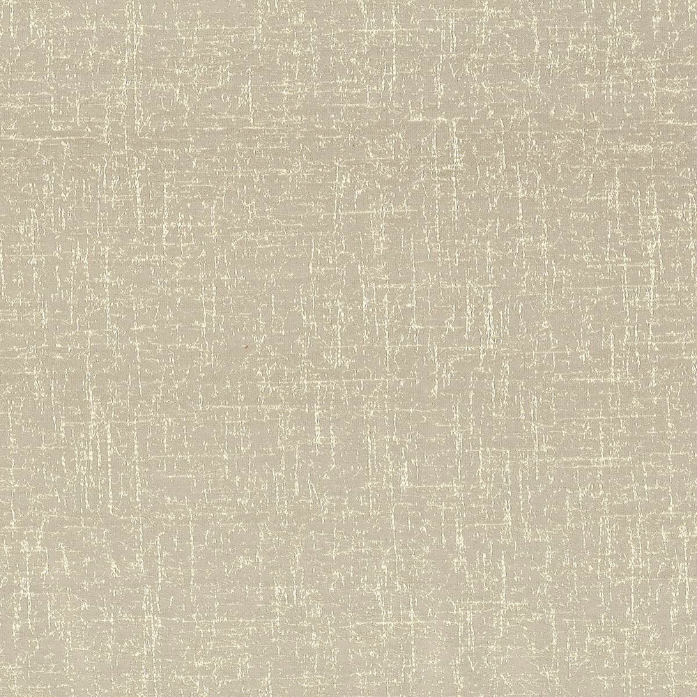 Egocentric 2 Oyster by Stout Fabric RAINBOW LIBRARY DRIFTWOOD/HEMP 100%POL INDIA CATB 117-2013 WYZENBEEK 42 000 DOUBLE RUB WEAR TEST (HEAVY DUTY) Horizontal: 9 and Vertical: 10 54 in - Fabric Carolina -