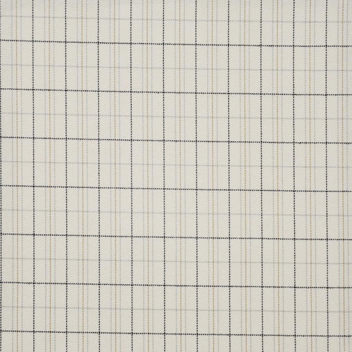 Earl Grey # 640 Highlands by Maxwell Fabric Performance Wovens-Vol.Iv Smokeshow 100% POLYESTER TURKEY V-2"H-1" 54" - Fabric Carolina -