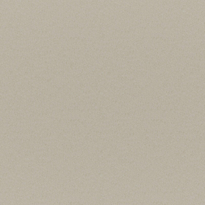 Ersa # 311 Sand by Maxwell Fabric BLACKOUT FACE: 100% POLYESTER
BACKING: 100% ACRYLIC CHINA 55" - Fabric Carolina -