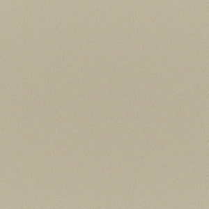 Ersa # 312 Sponge by Maxwell Fabric
