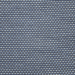 Espinosa # 741 Icefield by Maxwell Fabric