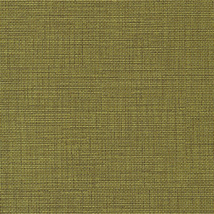 Elite-Nj # 948 Grass by Maxwell Fabric