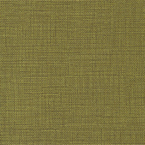 Elite-Nj # 948 Grass by Maxwell Fabric