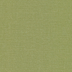 Equilibrium-Nj # 231 Grass by Maxwell Fabric