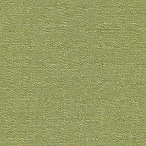 Equilibrium-Nj # 231 Grass by Maxwell Fabric