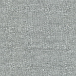 Equilibrium-Nj # 239 Dew by Maxwell Fabric