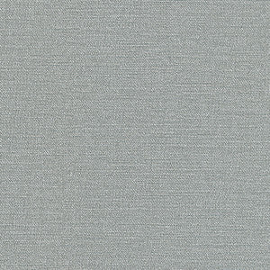 Equilibrium-Nj # 239 Dew by Maxwell Fabric