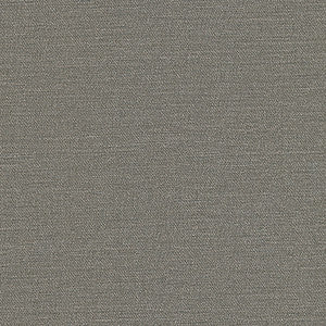 Equilibrium-Nj # 242 Griffin by Maxwell Fabric