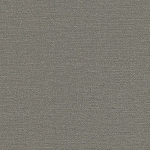 Equilibrium-Nj # 242 Griffin by Maxwell Fabric