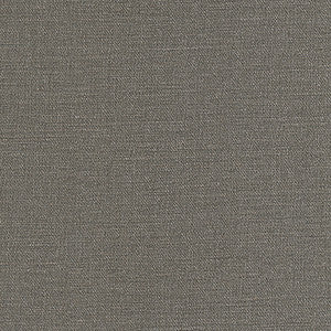 Equilibrium-Nj # 243 Gargoyle by Maxwell Fabric