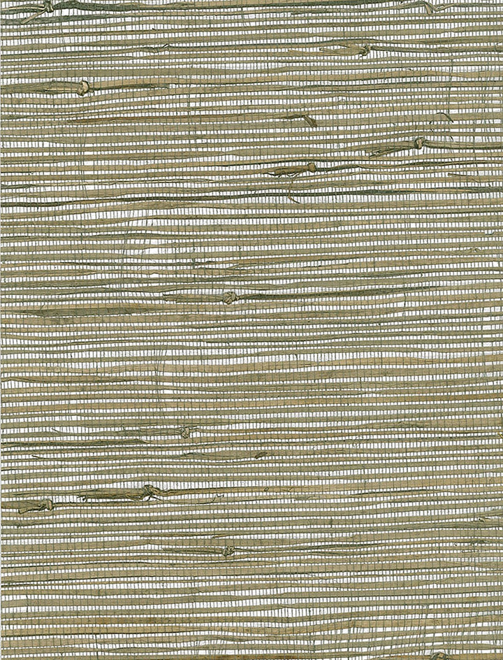 Triangle Grass Gray, Metallic Silver, Neutrals by Seabrook Wallpaper Natural Resource China 72 0" 36" - Fabric Carolina -