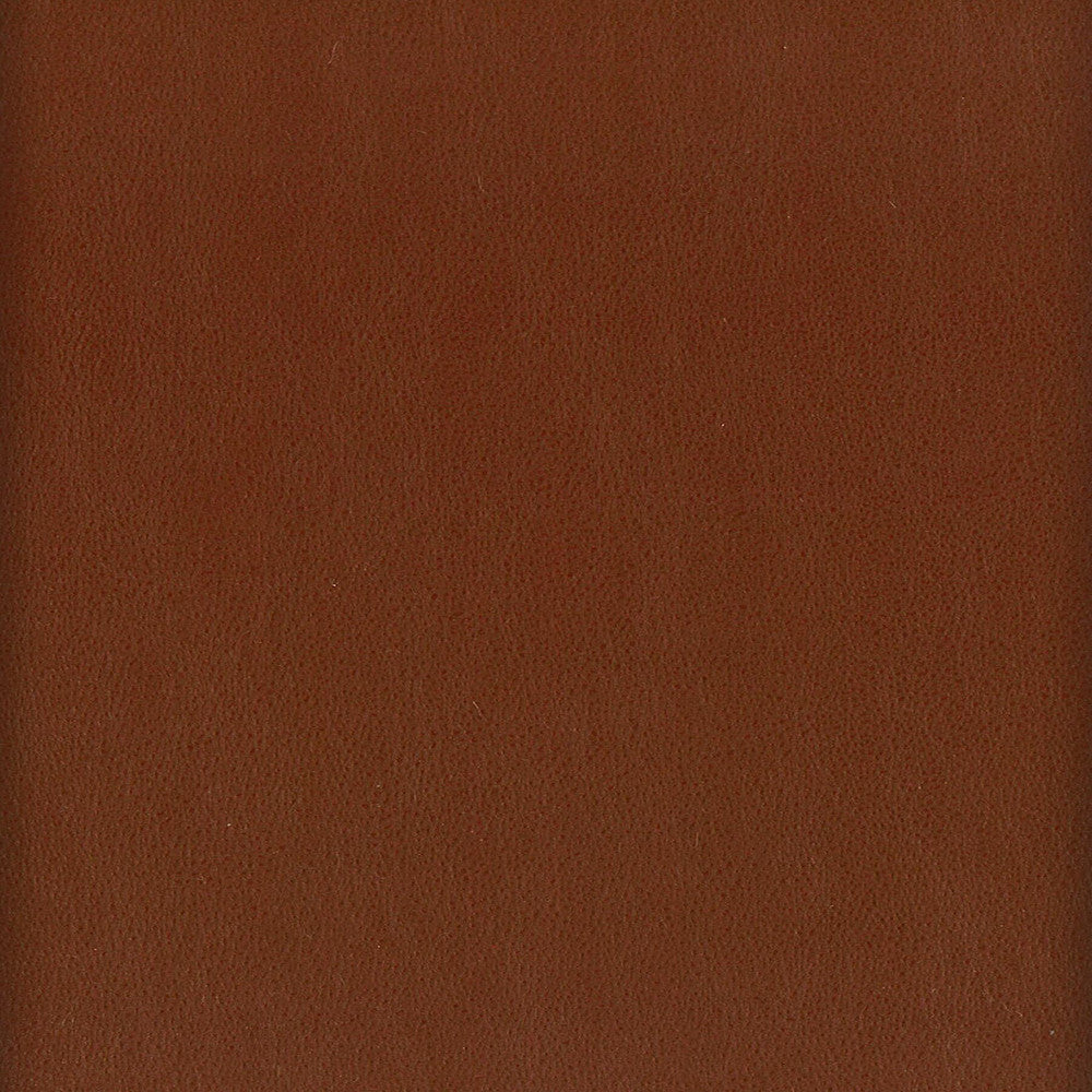 Elbert 10 Nutmeg by Stout Designer Fabric LEATHER LOOKS III PERFORMANCE 70%PVC 25%POL 5%POU CHINA WYZENBEEK 24 000 DOUBLE RUB WEAR TEST (HEAVY DUTY) Horizontal: 0.000 and Vertical: 0.000 54 in - Swanky Fabrics -