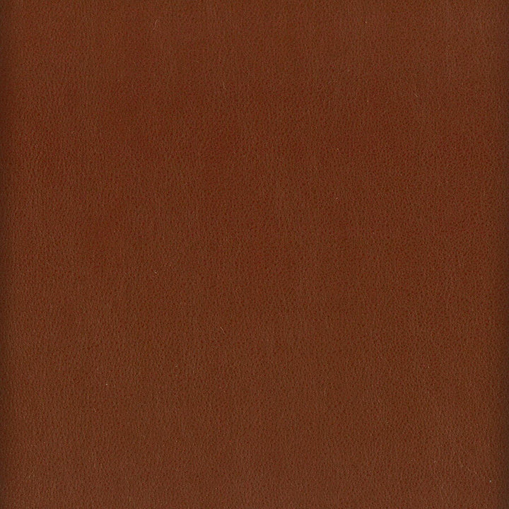 Elbert 10 Nutmeg by Stout Fabric Stout Fabric Elbert 10 NutmegFabric LEATHER LOOKS III PERFORMANCE 70%PVC 25%POL 5%POU CHINA </p><p>Repeat: H: 0.000, V: 0.000 54 in - Fabric Carolina -