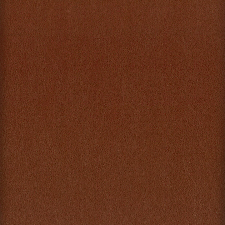 Elbert 10 Nutmeg by Stout Fabric Stout Fabric Elbert 10 NutmegFabric LEATHER LOOKS III PERFORMANCE CHINA </p><p>Repeat: H: 0.000, V: 0.000 54 in - Fabric Carolina -