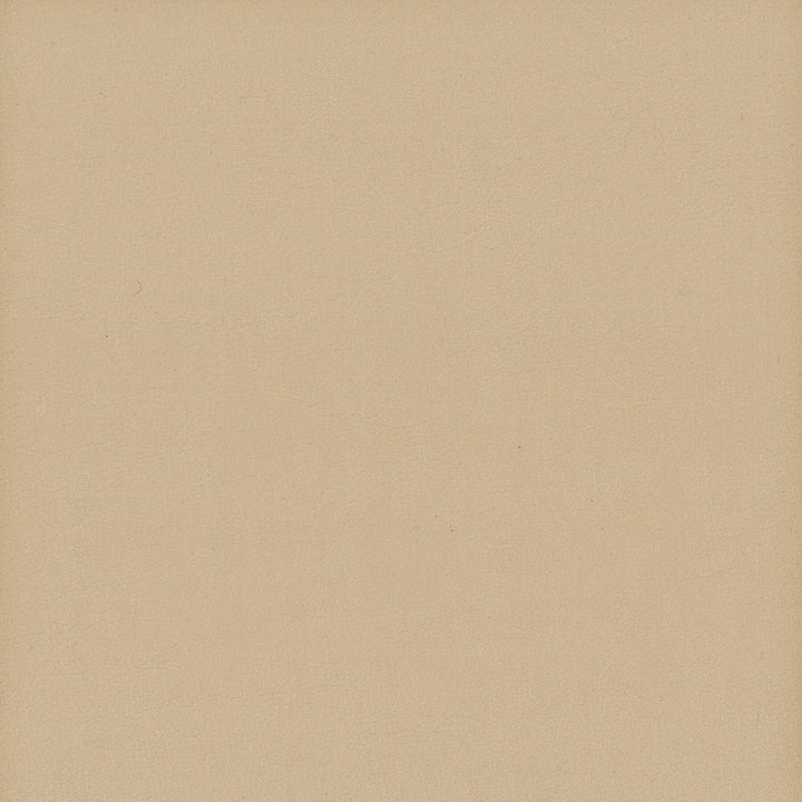 Elbert 11 Biscuit by Stout Fabric LEATHER LOOKS III PERFORMANCE 70%PVC 25%POL 5%POU CHINA WYZENBEEK 24 000 DOUBLE RUB WEAR TEST (HEAVY DUTY) Horizontal: 0.000 and Vertical: 0.000 54 in - Fabric Carolina -