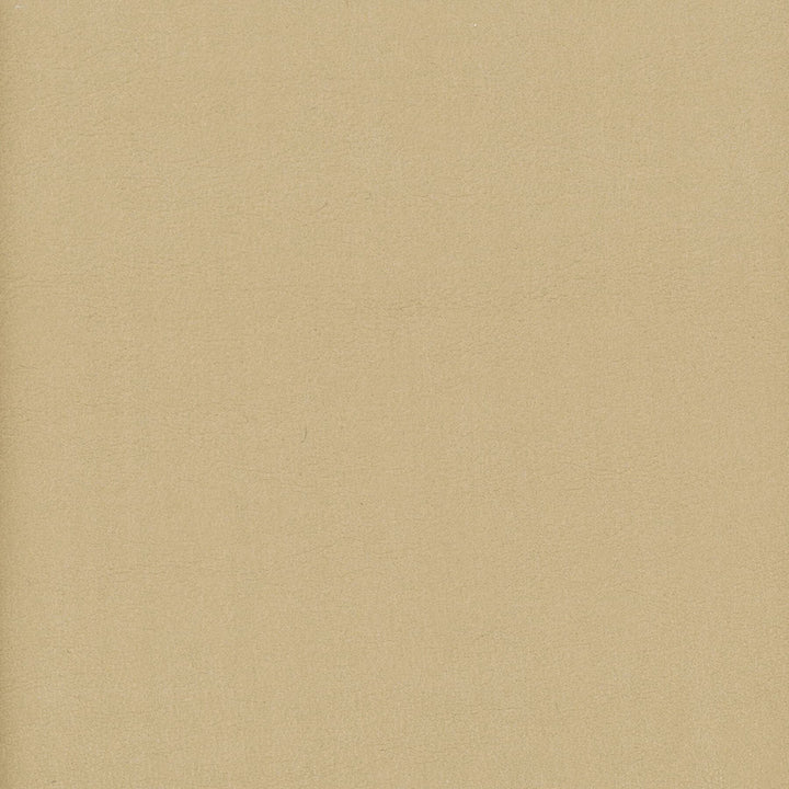 Elbert 12 Jute by Stout Fabric LEATHER LOOKS III PERFORMANCE 70%PVC 25%POL 5%POU CHINA PERFORMANCE RATED FABRIC CATB 117-2013 WYZENBEEK 80 000 DOUBLE RUB WEAR TEST (HEAVY DUTY) Horizontal: 0 and Vertical: 0 54 in - Fabric Carolina -