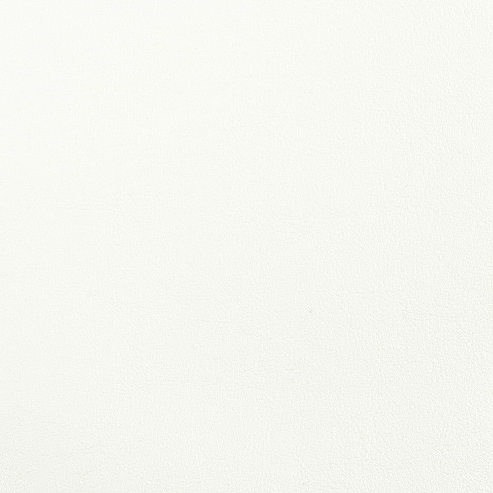 Elbert 13 Chalk by Stout Fabric LEATHER LOOKS III PERFORMANCE 70%PVC 25%POL 5%POU CHINA PERFORMANCE RATED FABRIC CATB 117-2013 WYZENBEEK 80 000 DOUBLE RUB WEAR TEST (HEAVY DUTY) Horizontal: 0 and Vertical: 0 54 in - Fabric Carolina -