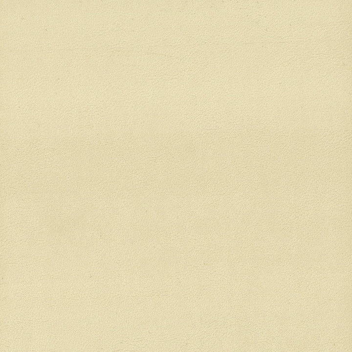 Elbert 1 Parchment by Stout Designer Fabric Leather Looks Iii Performance 70% Polyvinylchloride 25% Polyester 5% Polyurethane CHINA PERFORMANCE RATED FABRIC CATB 117-2013 WYZENBEEK 80 000 DOUBLE RUB WEAR TEST (HEAVY DUTY) Horizontal: 0 and Vertical: 0 54 in - Swanky Fabrics -