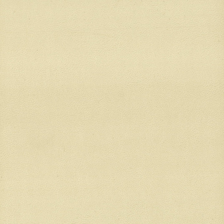 Elbert 1 Parchment by Stout Fabric LEATHER LOOKS III PERFORMANCE 70%PVC 25%POL 5%POU CHINA PERFORMANCE RATED FABRIC CATB 117-2013 WYZENBEEK 80 000 DOUBLE RUB WEAR TEST (HEAVY DUTY) Horizontal: 0 and Vertical: 0 54 in - Fabric Carolina -
