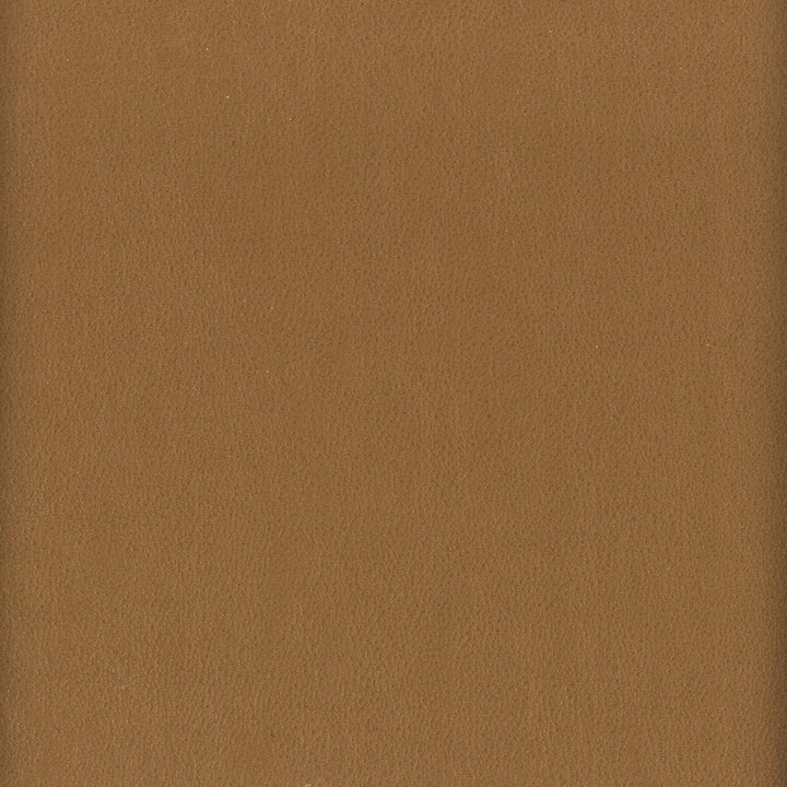 Elbert 3 Nut by Stout Fabric LEATHER LOOKS III PERFORMANCE 70%PVC 25%POL 5%POU CHINA PERFORMANCE RATED FABRIC CATB 117-2013 WYZENBEEK 80 000 DOUBLE RUB WEAR TEST (HEAVY DUTY) Horizontal: 0 and Vertical: 0 54 in - Fabric Carolina -