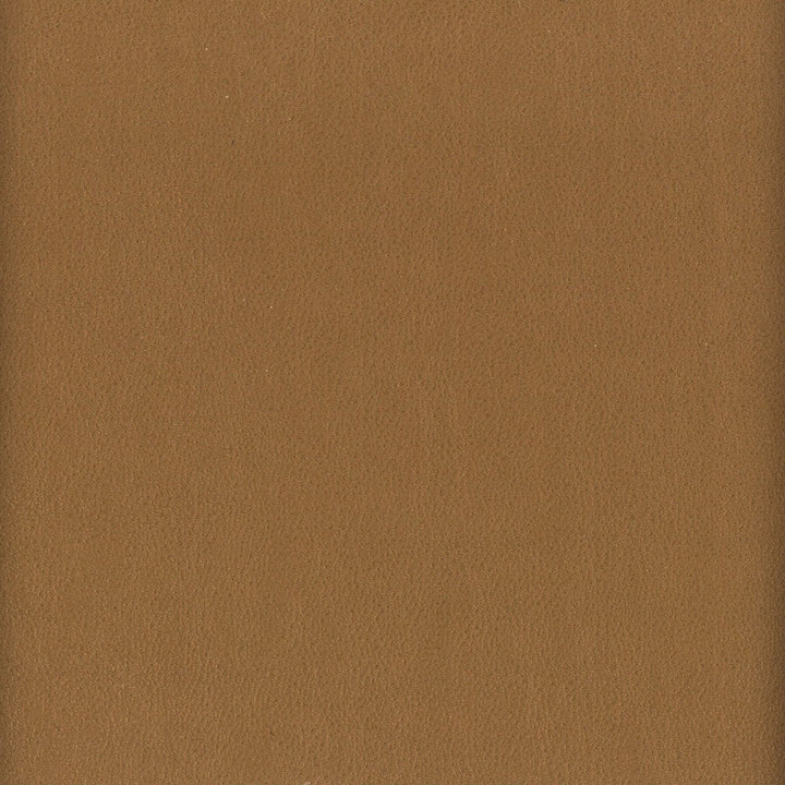 Elbert 3 Nut by Stout Fabric Stout Fabric Elbert 3 NutFabric LEATHER LOOKS III PERFORMANCE 70%PVC 25%POL 5%POU CHINA </p><p>Repeat: H: 0.000, V: 0.000 54 in - Fabric Carolina -