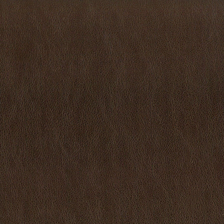 Elbert 5 Espresso by Stout Fabric LEATHER LOOKS III PERFORMANCE 70%PVC 25%POL 5%POU CHINA PERFORMANCE RATED FABRIC CATB 117-2013 WYZENBEEK 80 000 DOUBLE RUB WEAR TEST (HEAVY DUTY) Horizontal: 0 and Vertical: 0 54 in - Fabric Carolina -