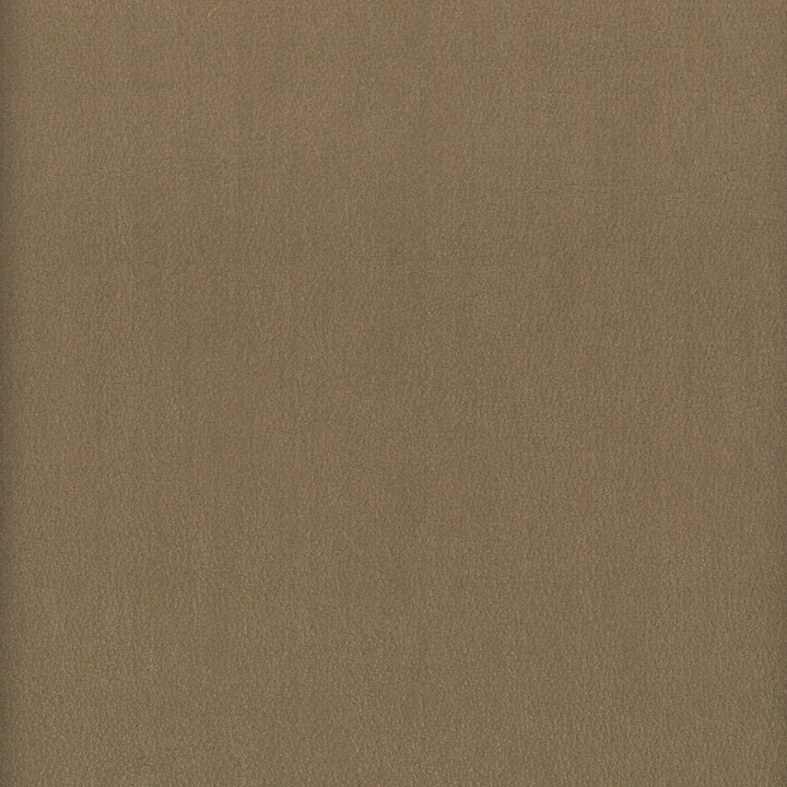 Elbert 6 Shadow by Stout Fabric LEATHER LOOKS III PERFORMANCE 70%PVC 25%POL 5%POU CHINA PERFORMANCE RATED FABRIC CATB 117-2013 WYZENBEEK 80 000 DOUBLE RUB WEAR TEST (HEAVY DUTY) Horizontal: 0 and Vertical: 0 54 in - Fabric Carolina -