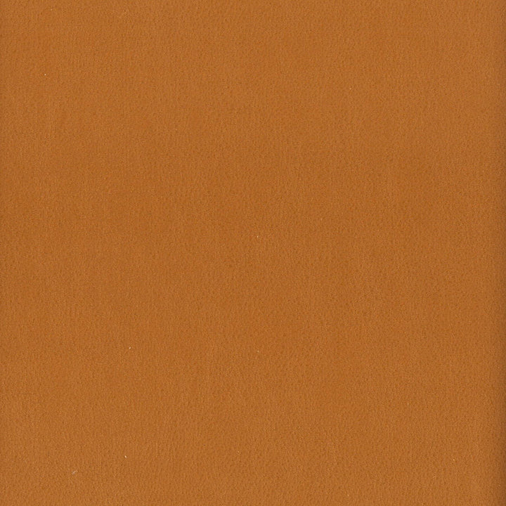 Elbert 8 Cashew by Stout Fabric LEATHER LOOKS III PERFORMANCE 70%PVC 25%POL 5%POU CHINA PERFORMANCE RATED FABRIC CATB 117-2013 WYZENBEEK 80 000 DOUBLE RUB WEAR TEST (HEAVY DUTY) Horizontal: 0 and Vertical: 0 54 in - Fabric Carolina -