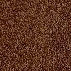 Electra Tumbleweed 3922 by Norbar Fabric
