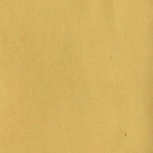 Element Bright Gold 523 by Norbar Fabric 100% POLYURETHANE KOREA 54" - Fabric Carolina -